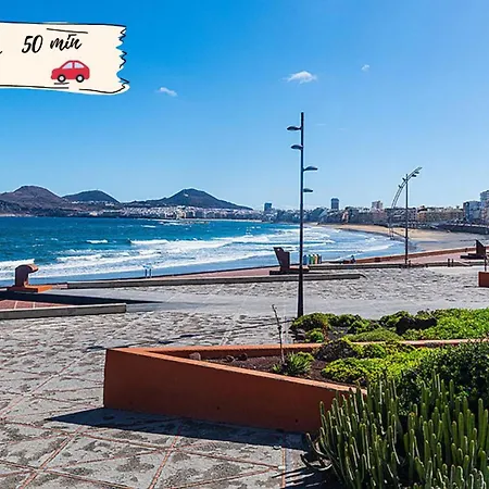 Nectarinas By Villagrancanaria *