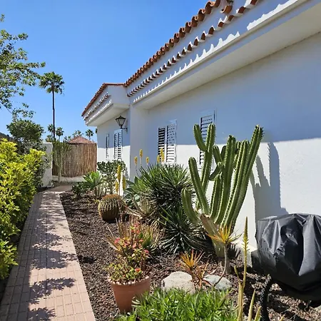 Nectarinas By Villagrancanaria